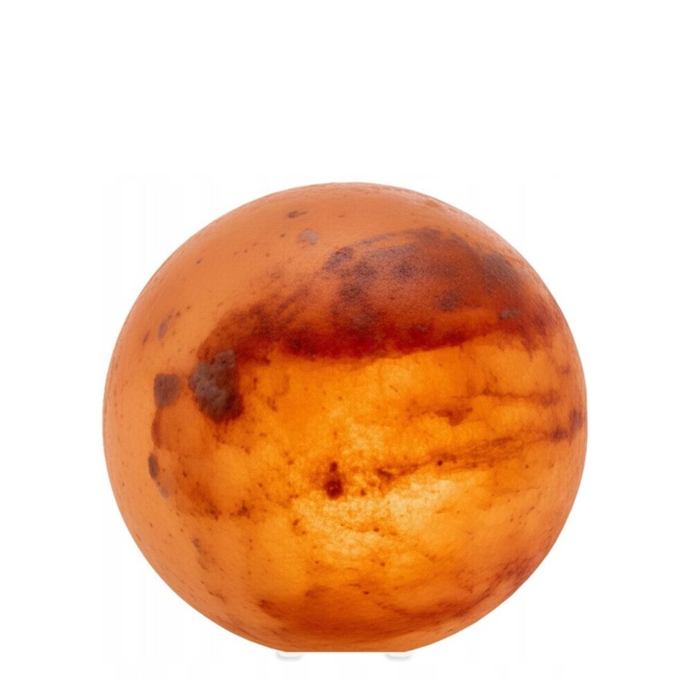 Shop Secondary Image