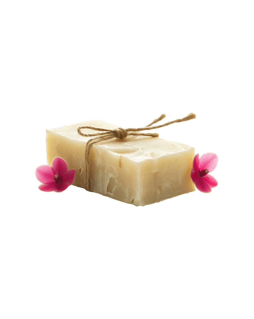 Shop Primary Image Shop Primary Image