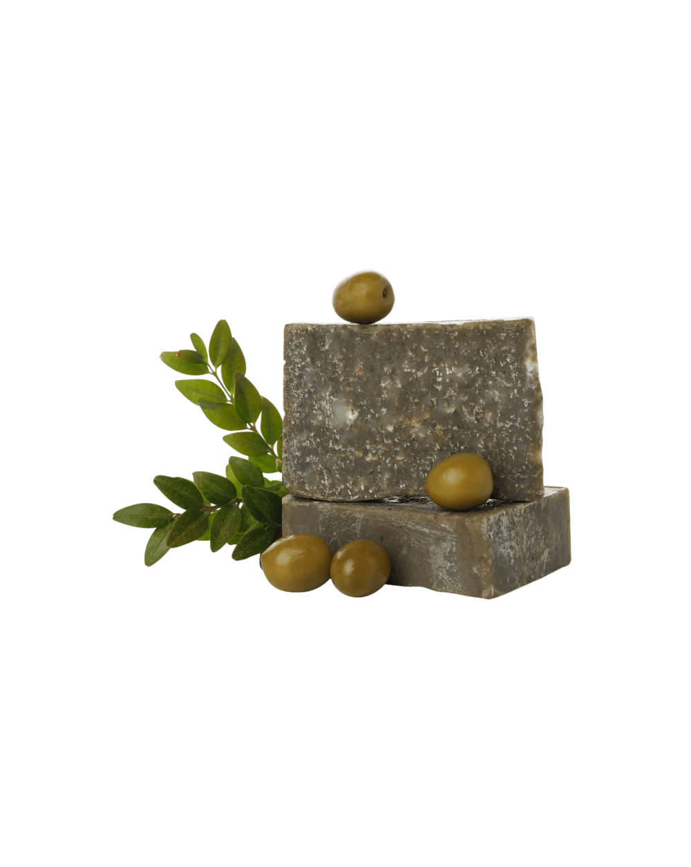 Shop Primary Image Shop Primary Image