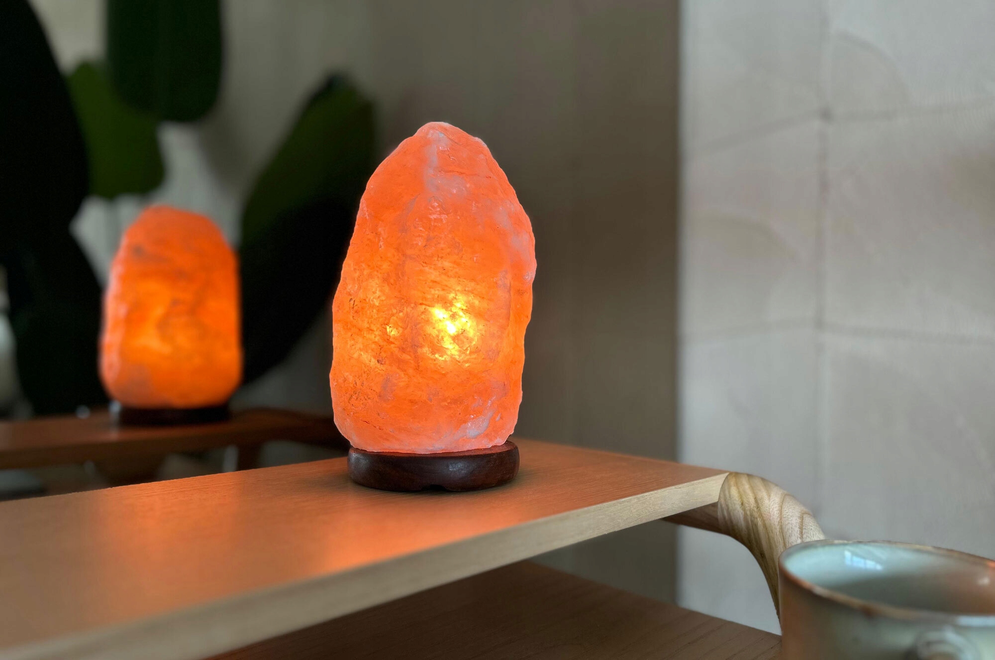 4756f32d04e269275fa88b94c63781a0